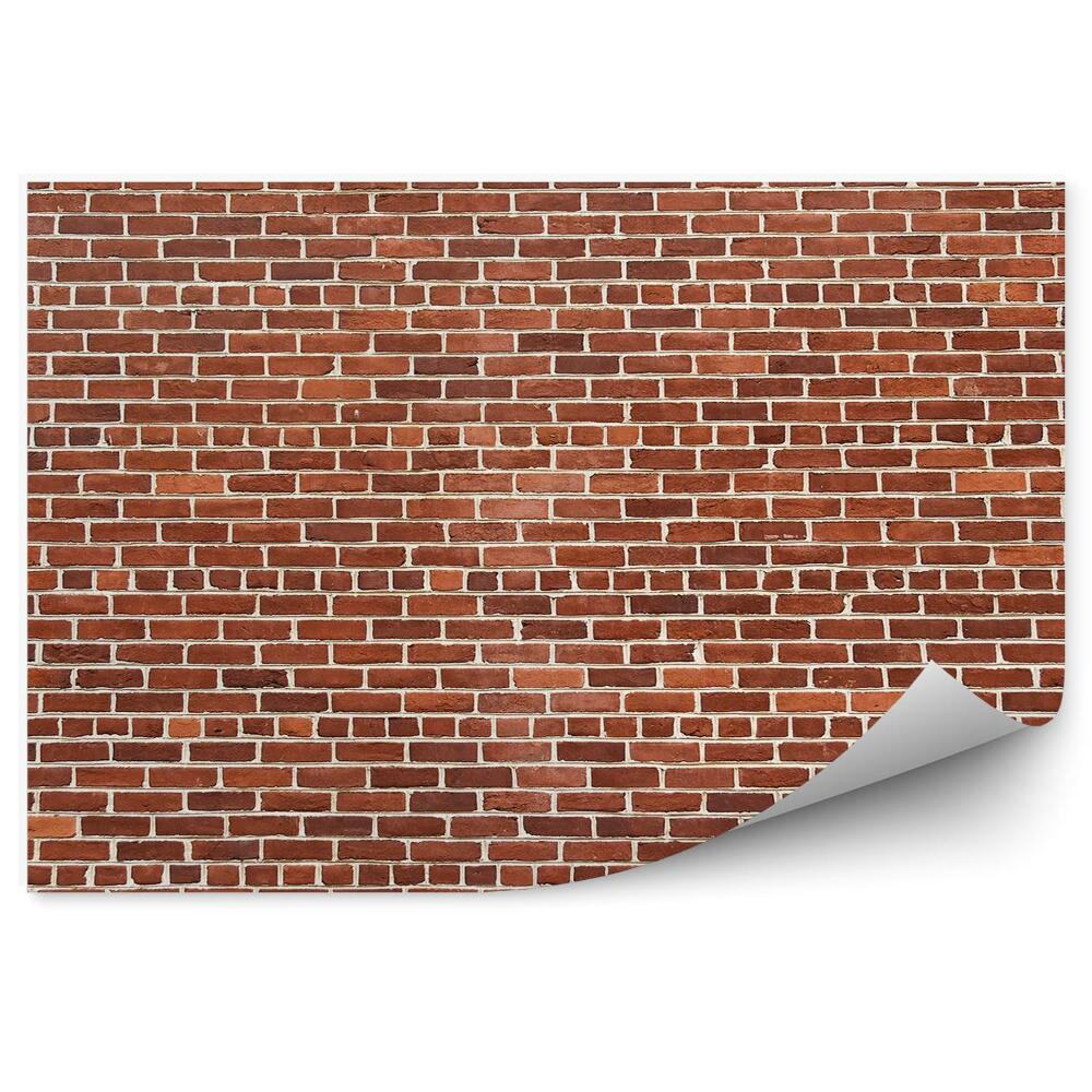 Fototapeta samoprzylepna Ceglana ściana