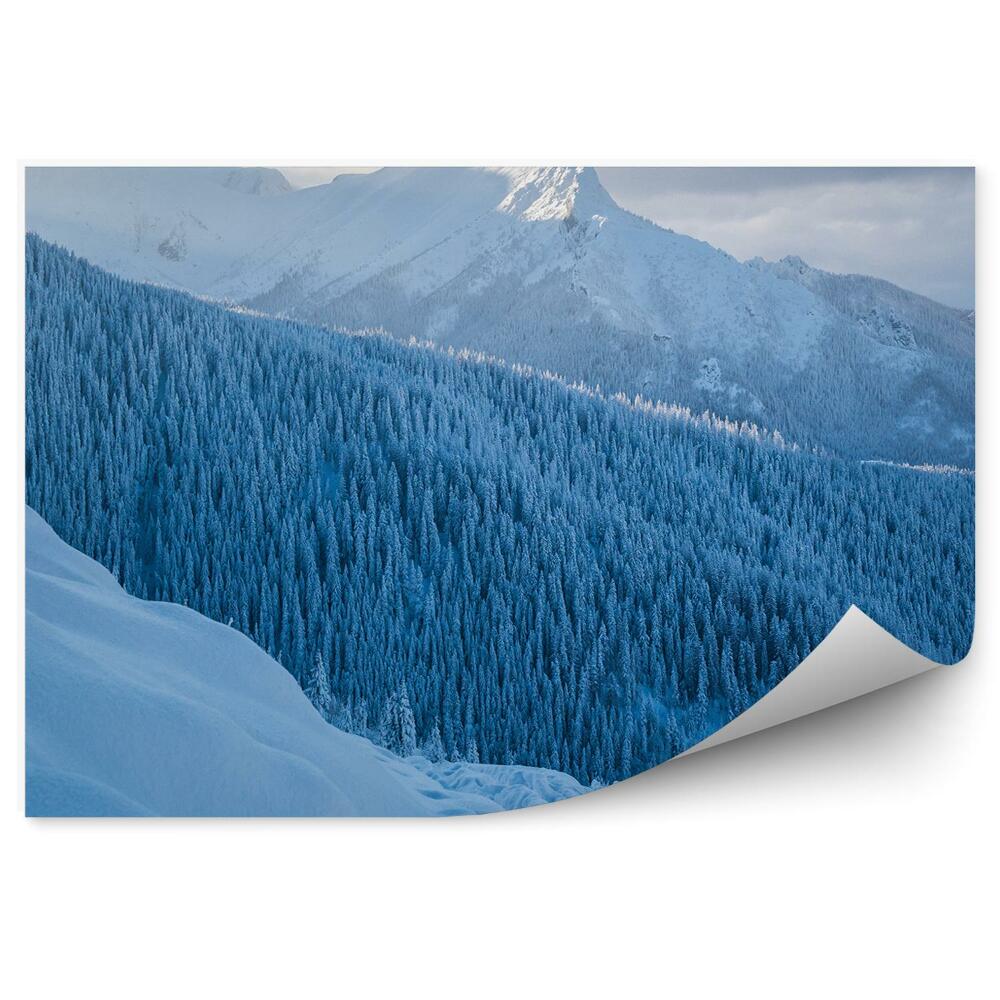 Okleina na ścianę Giewont tatry drzewa iglaste śnieg niebo chmury