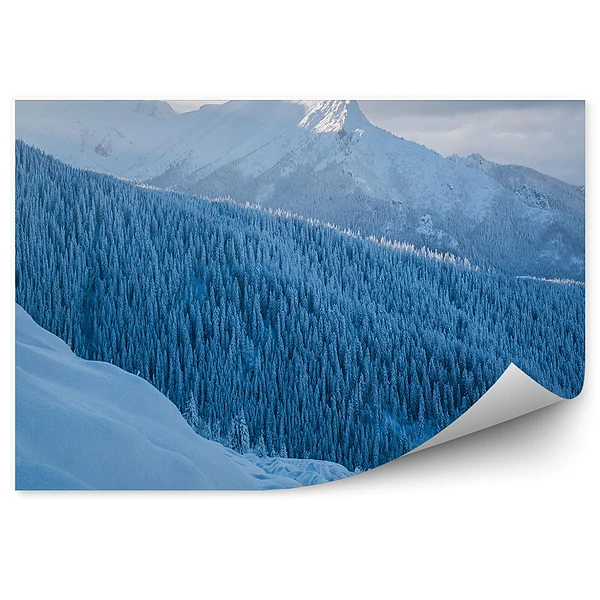 Okleina na ścianę Giewont tatry drzewa iglaste śnieg niebo chmury