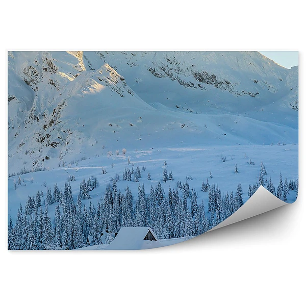 Okleina na ścianę Hala gąsienicowa chaty tatry zima śnieg drzewa iglaste