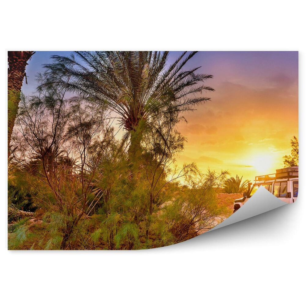 Okleina ścienna Jeep palmy droga zachód słońca
