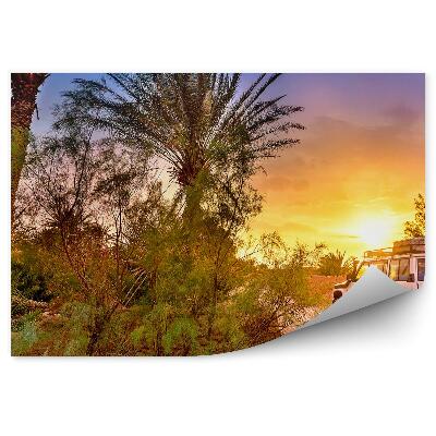 Okleina ścienna Jeep palmy droga zachód słońca