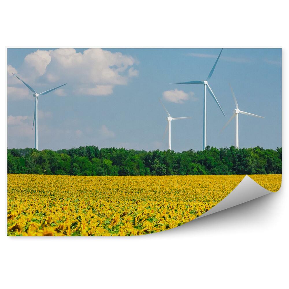 Fototapeta na ścianę Pole słoneczników wiatraki drzewa niebo chmury kwiaty