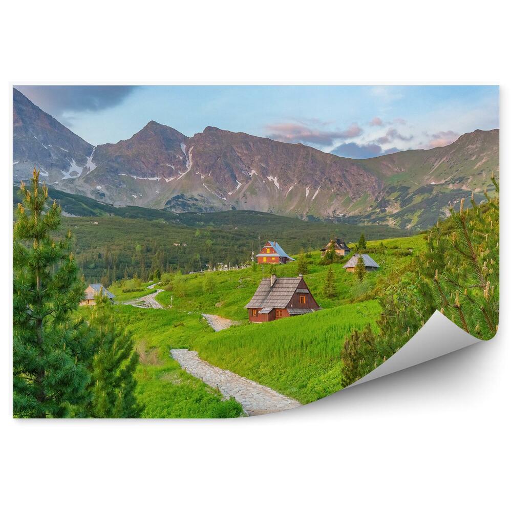 Okleina na ścianę góry Tatry Zakopane niebo chmury domy drzewa iglaste ścieżka