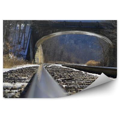 Okleina na ścianę Tory kolejowe most natura las kolej