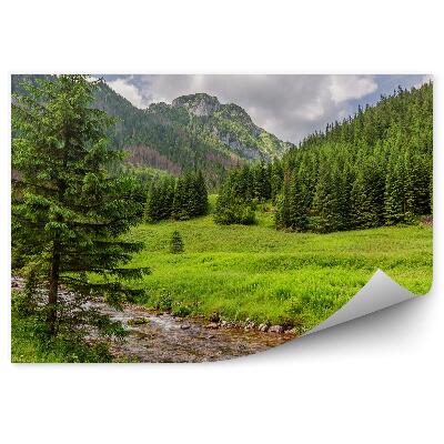 Okleina ścienna Strumień zielone doliny Tatry góry