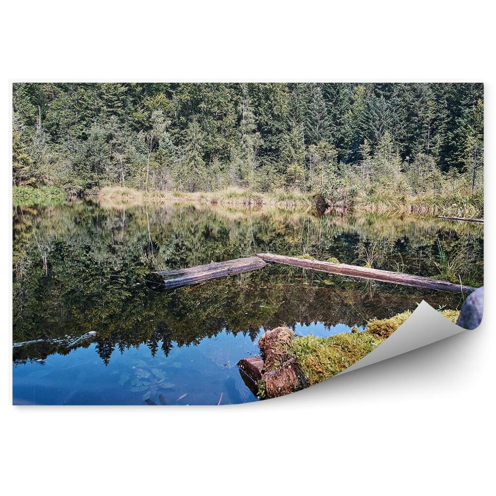 Fototapeta na ścianę Górskie jezioro w lesie