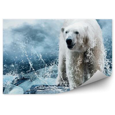 Okleina ścienna Niedźwiedź polarny na lodzie wśród kropel wody