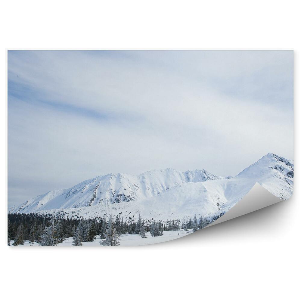 Okleina na ścianę góry Zakopane śnieg zima niebo chmury drzewa iglaste Tatry