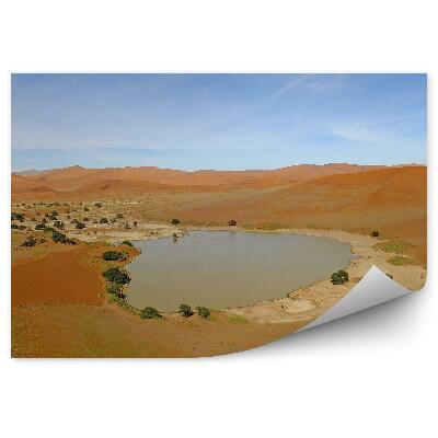 Fototapeta Afryka pustynia piasek oaza