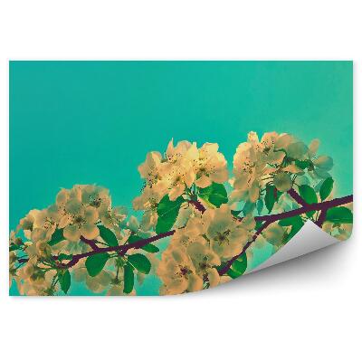 Okleina ścienna Kwiaty jabłoni gałąź zielone tło