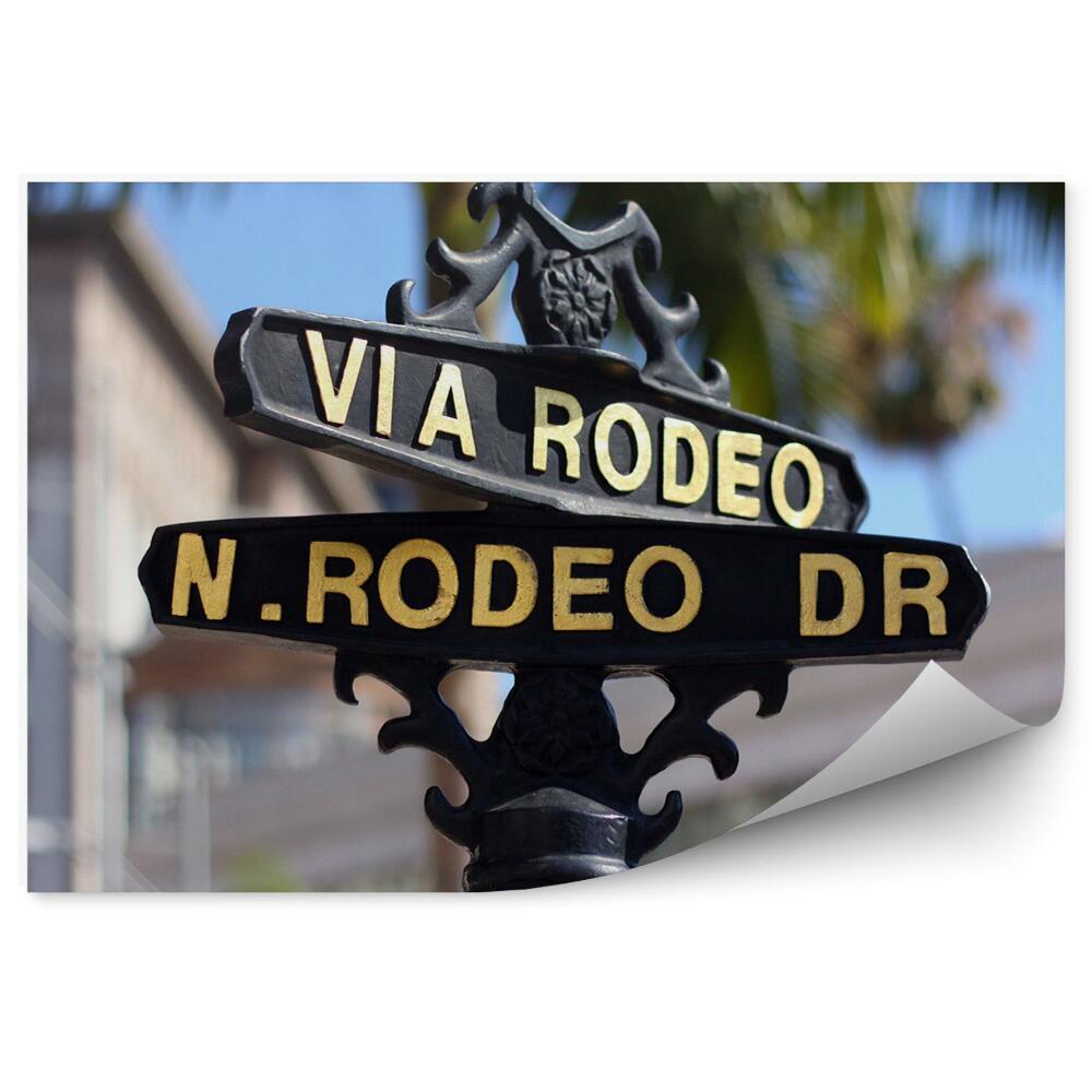 Okleina ścienna Kalifornia palmy miasto ulica znak