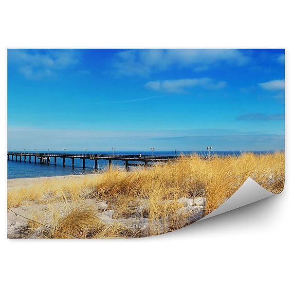 Fototapeta Most morze plaża trawa niebo chmury