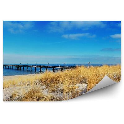 Fototapeta Most morze plaża trawa niebo chmury