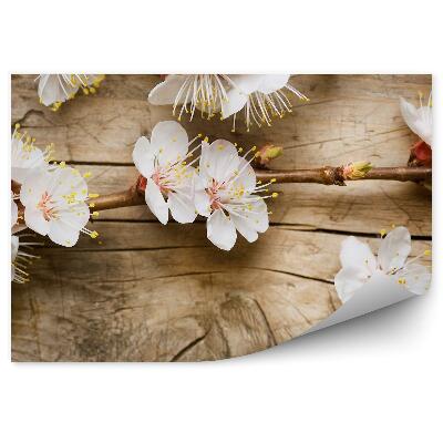 Fototapeta samoprzylepna Kwiat jabłoni leżący na drewnie