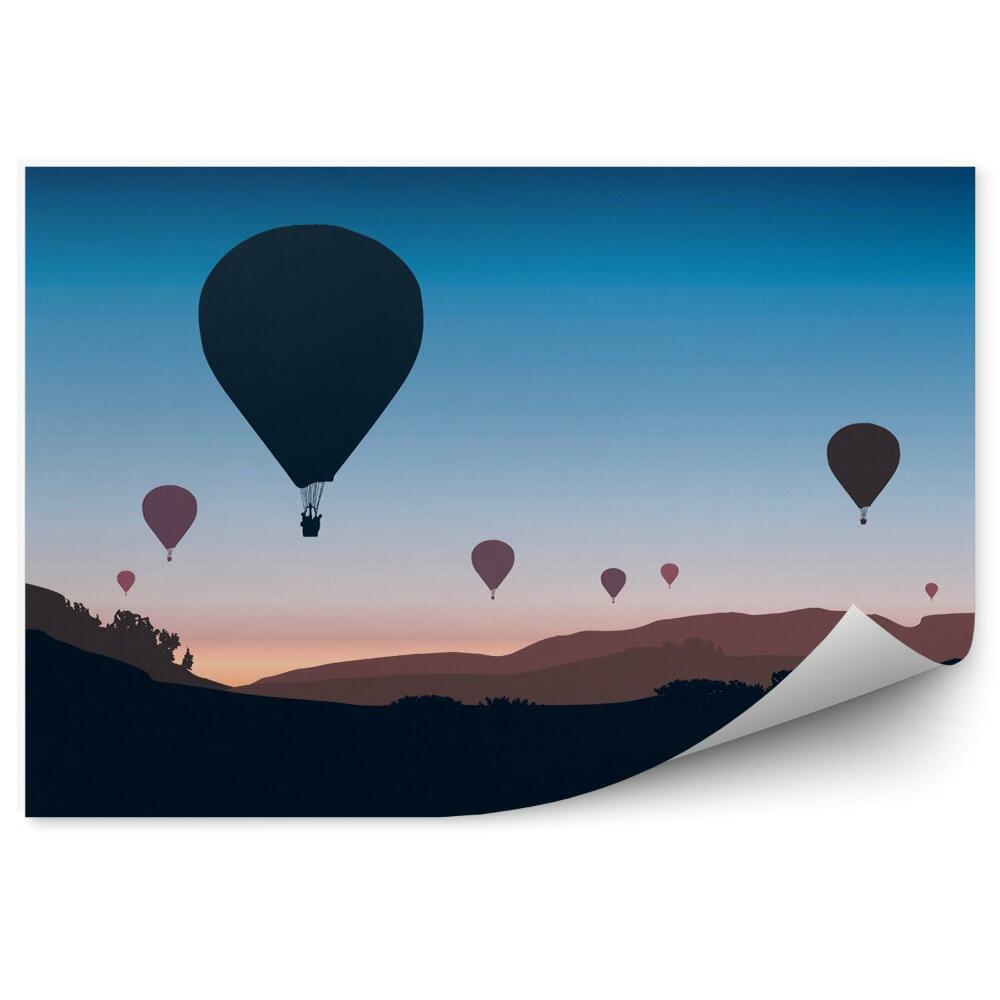 Fototapeta Balony w powietrzu