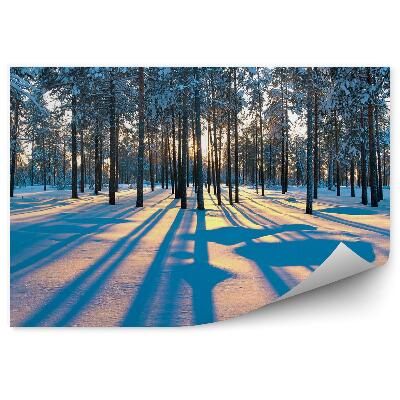 Fototapeta Zimowy las wschód słońca