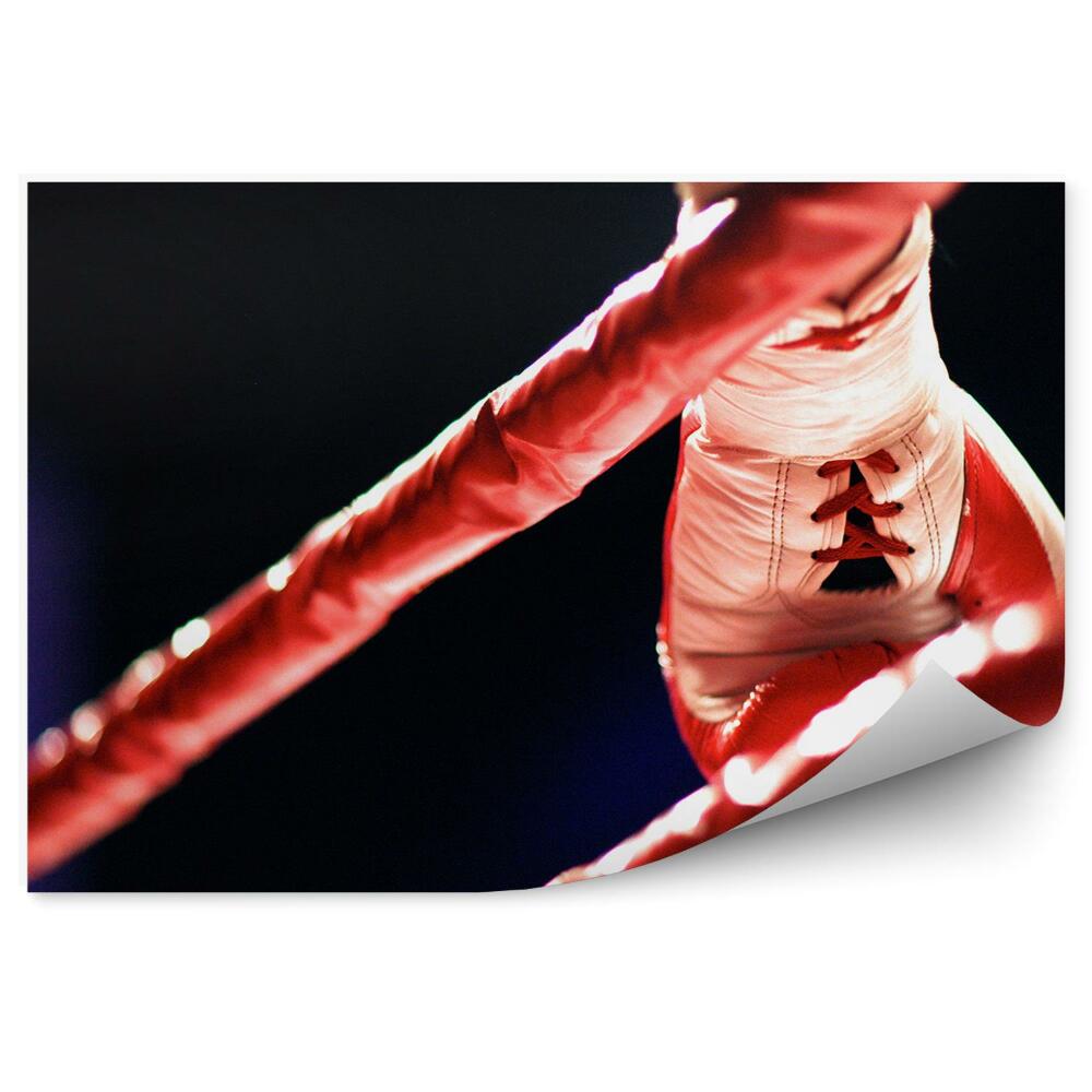 Fototapeta samoprzylepna Rękawica bokserska ring