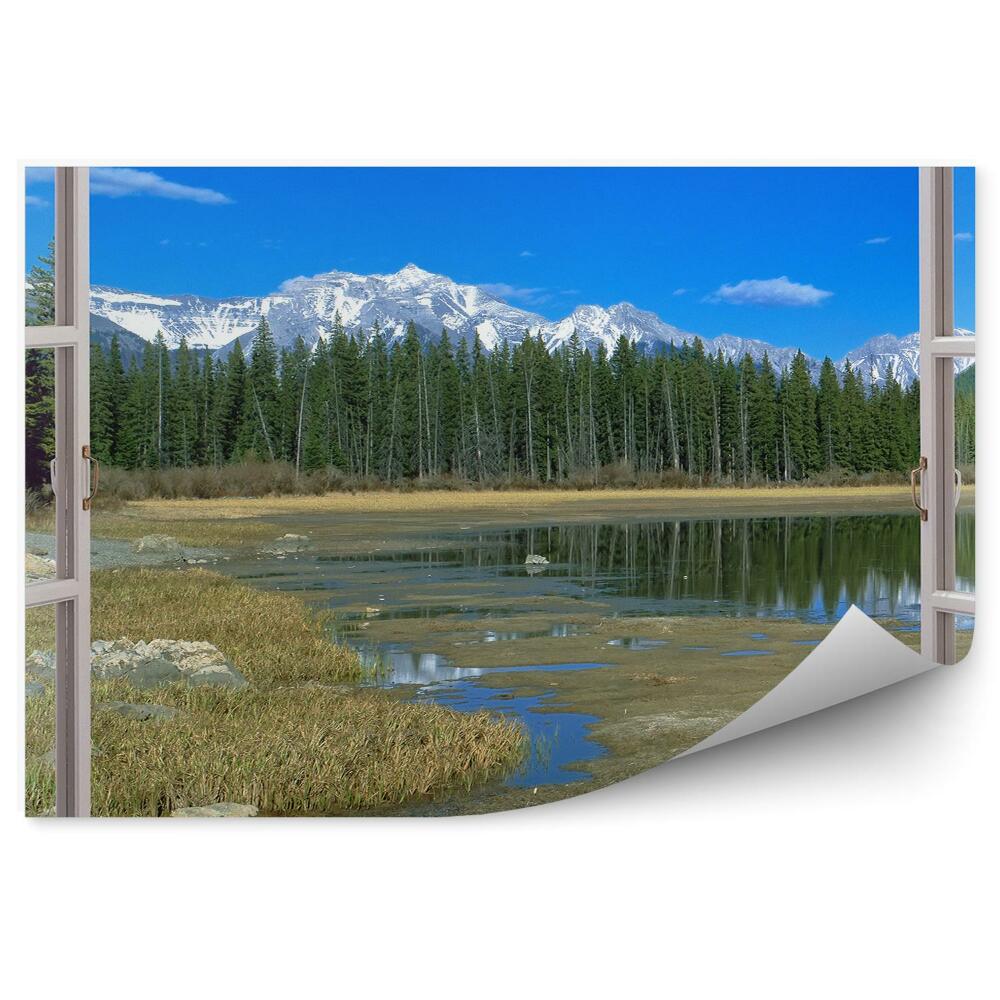 Fototapeta na ścianę Las choinki otwarte okno widok na góry