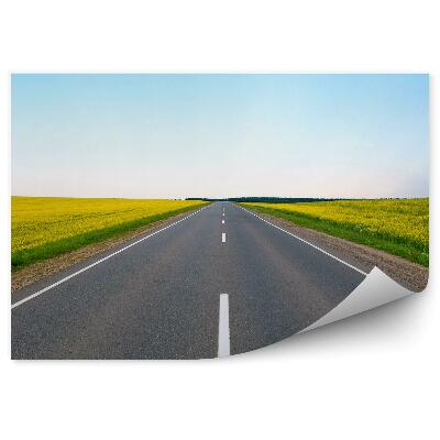 Okleina na ścianę Pole kwitnących Yellowch kwiatów droga