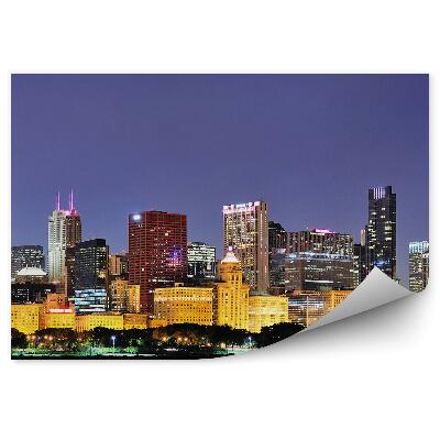 Fototapeta Chicago noc panorama wieżowce światła