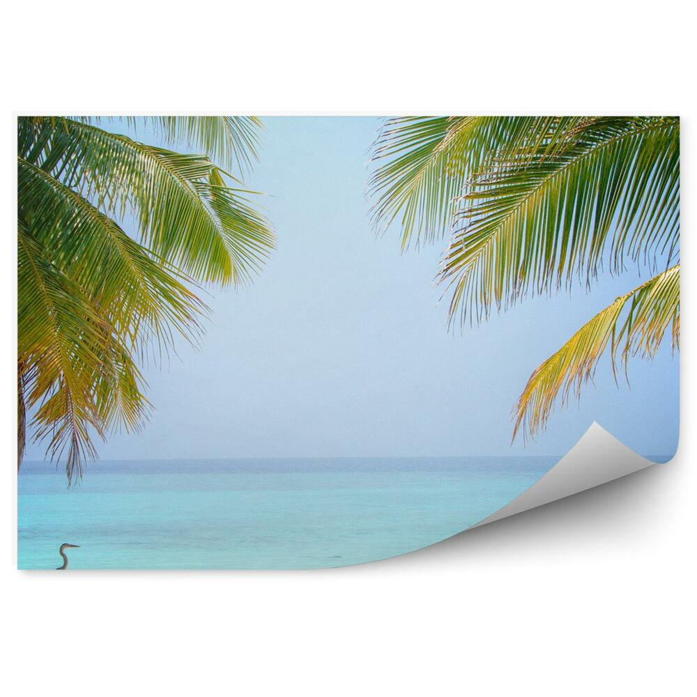 Fototapeta Basen luksusowy tropikalny ptak palmy