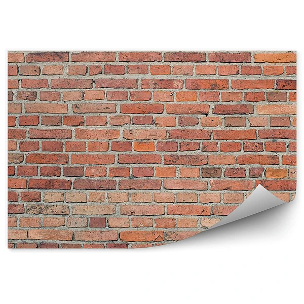 Fototapeta samoprzylepna Ceglany mur