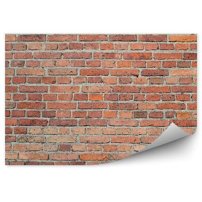 Fototapeta samoprzylepna Ceglany mur