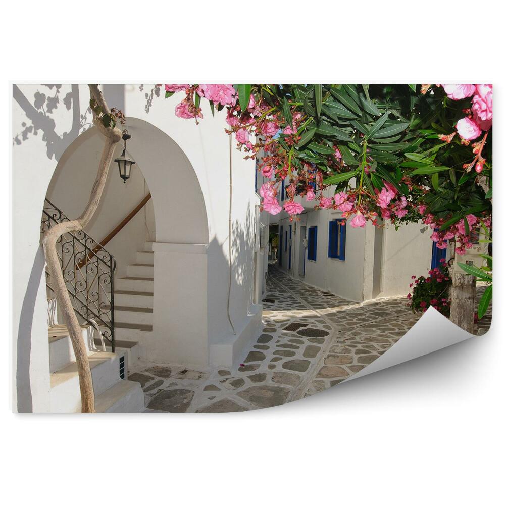 Fototapeta Alejka kwiaty roślinność białe budynki miasto