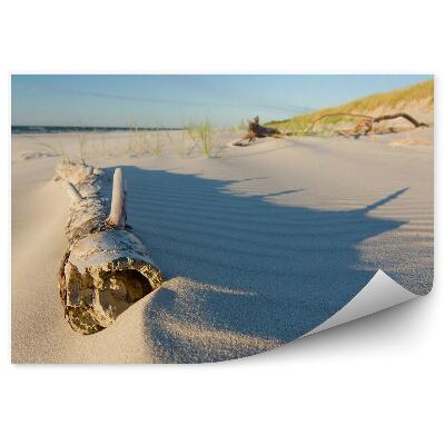 Fototapeta Plaża drzewo trawa