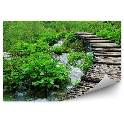 Okleina ścienna Drewniany most drzewa wodospad krzaki