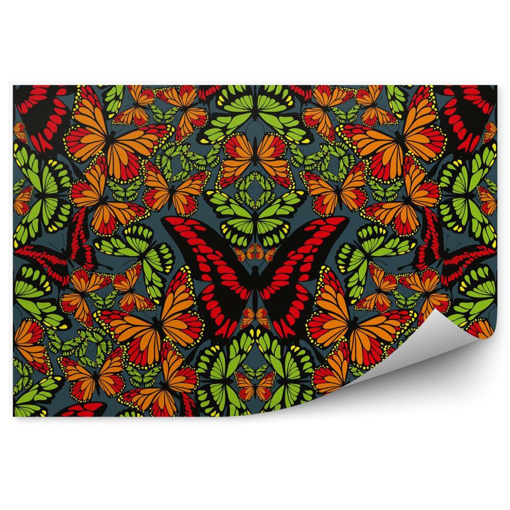 Fototapeta Butterfly wallpaper