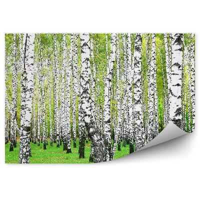 Okleina ścienna Las brzozowy trawa