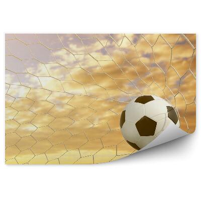 Fototapeta na ścianę Piłka w bramce