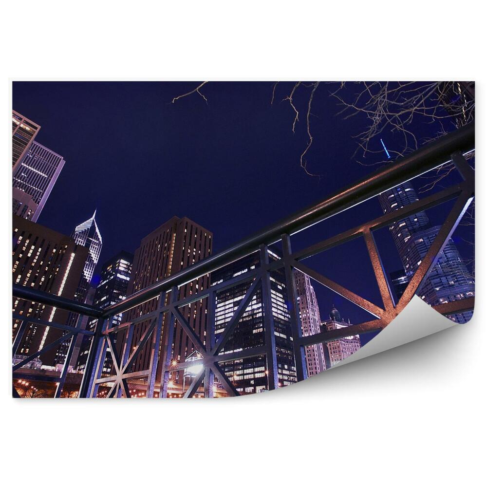 Fototapeta na ścianę brzegiem rzeki Chicago wieżowce światła drzewo