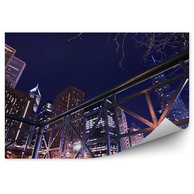 Fototapeta na ścianę brzegiem rzeki Chicago wieżowce światła drzewo