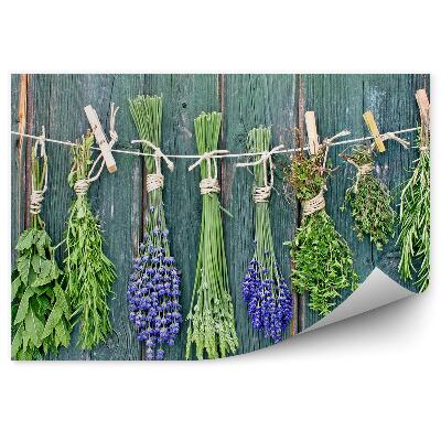 Okleina na ścianę Świeże zioła sznur klamerki drewno