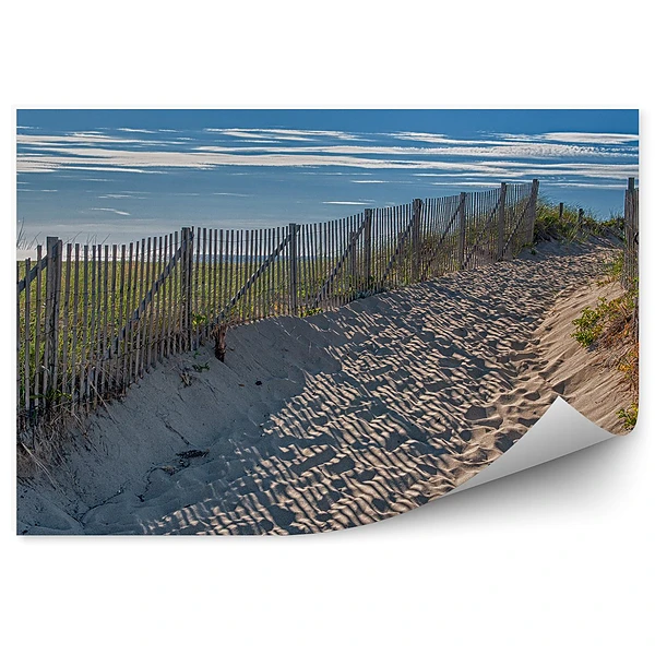 Fototapeta Plaża trawa płotek niebo chmury