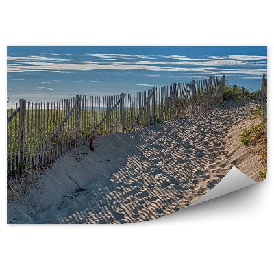 Fototapeta Plaża trawa płotek niebo chmury