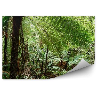 Okleina ścienna Tropikalna dżungla las zieleń natura