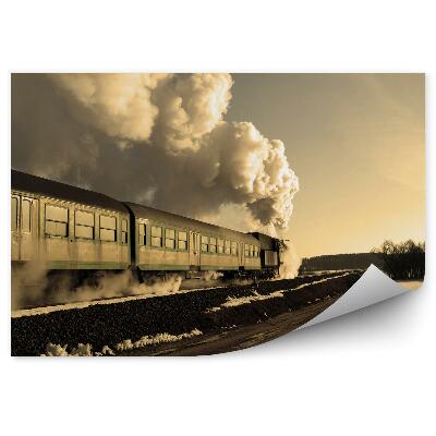 Fotopeta Zima śnieg tory pociąg parowy podróż