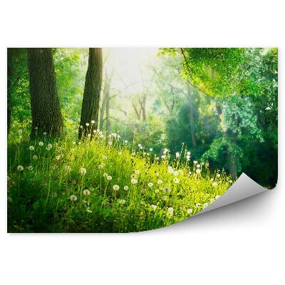 Fototapeta Wiosna piękny krajobraz. Zielona trawa i drzewa