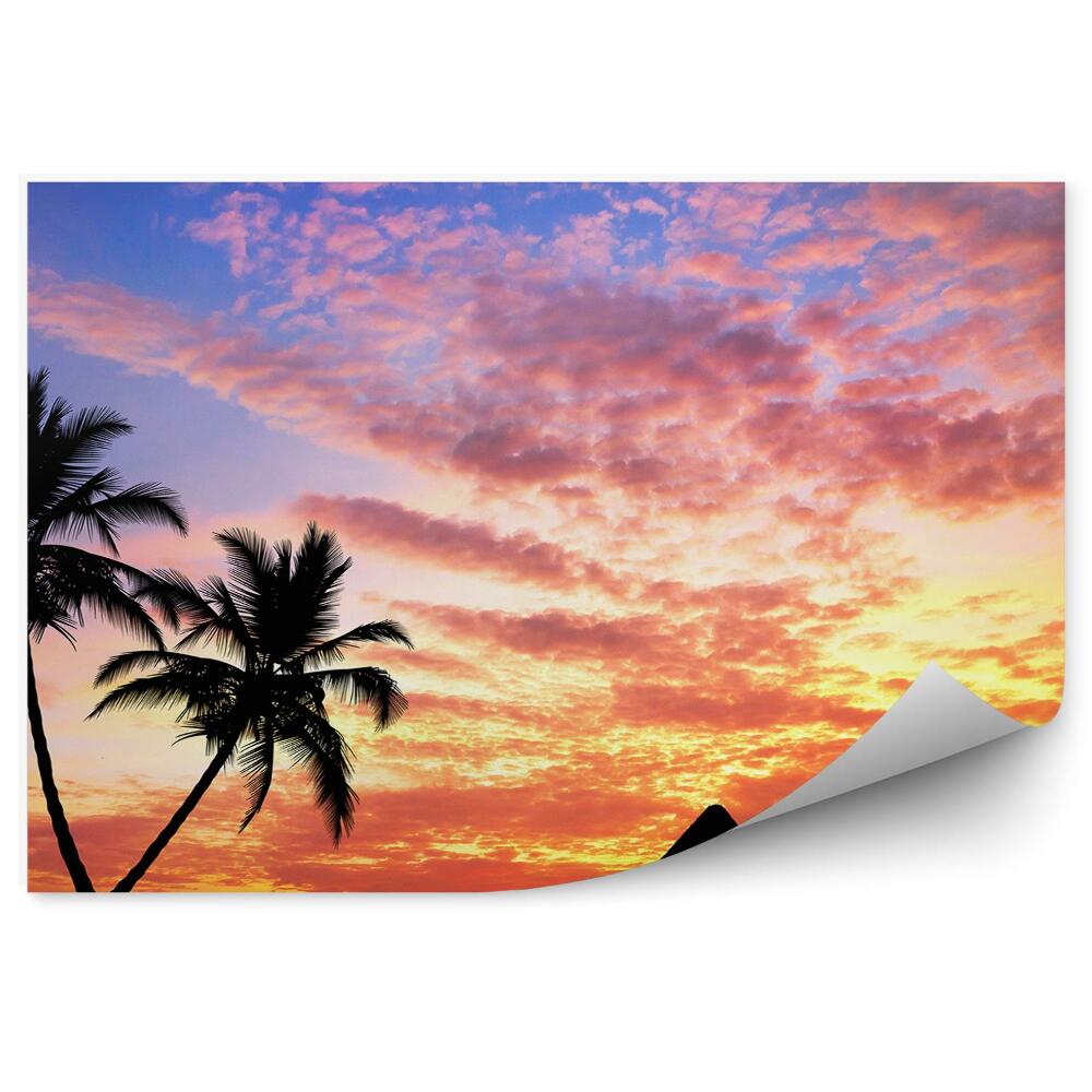 Okleina ścienna Egipskie piramidy palmy zachód słońca