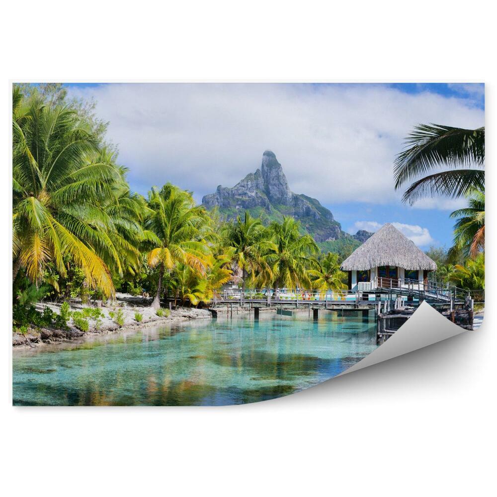Fototapeta Bora bora palmy panorama