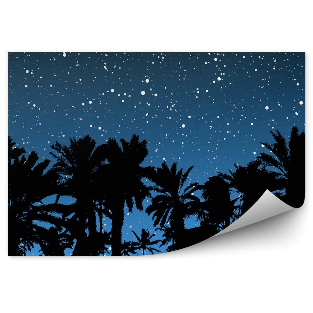 Fototapeta Palmy noc gwiaździste niebo noc