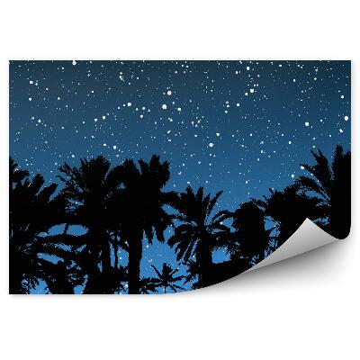 Fototapeta Palmy noc gwiaździste niebo noc