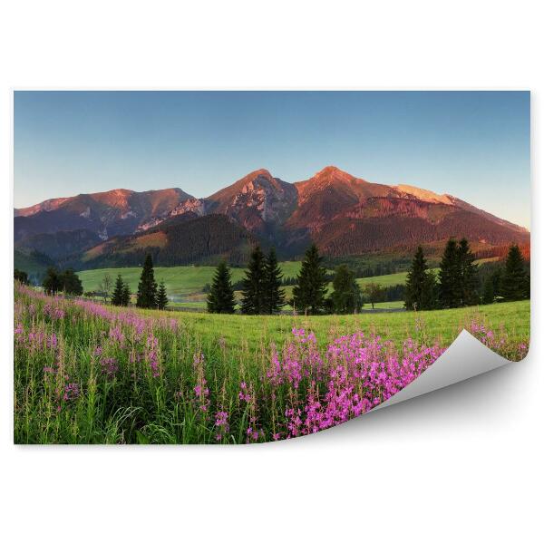 Fototapeta Piękna panorama gór słowacja