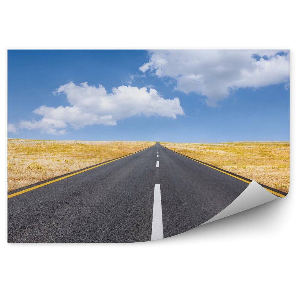 Okleina na ścianę Pusta droga trawa słoneczny dzień