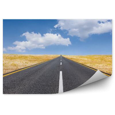 Okleina na ścianę Pusta droga trawa słoneczny dzień