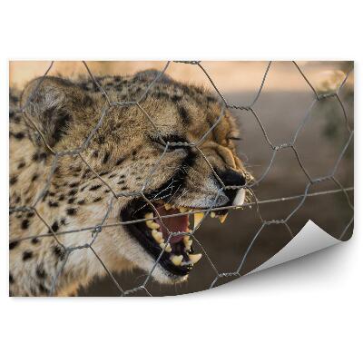 Okleina ścienna Gepard za ogrodzeniem